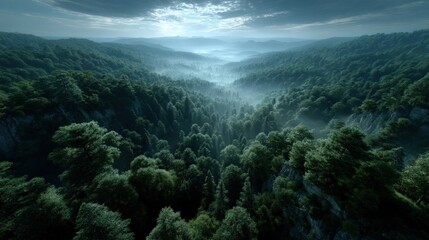 An ethereal landscape of misty mountains unfolds as sunlight filters through dense evergreen forests creating a tranquil and breathtaking vista.