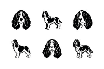 Welsh Springer Spaniel Dog Illustration