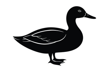 a-duck--silhutte-vector-art-illustration-on-white-.eps