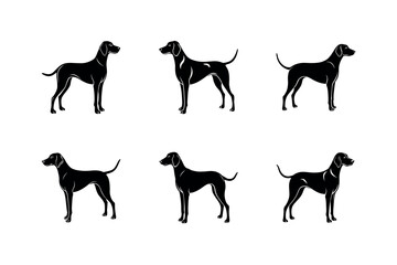 Harrier Dog Breed Drawing