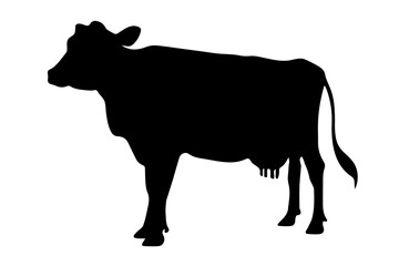 silhouette of a cow