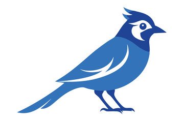 blue bird vector illustration