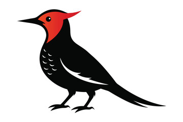 bird on a branch