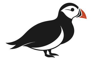 vector illustration of a penguin