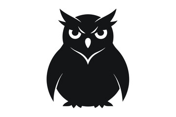 owl on white background