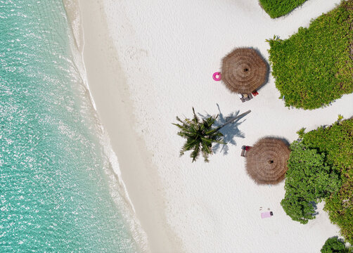 Aerial view of beautiful beach with umbrellas and lush trees by the ocean, Thoddoo, Alif Alif Atoll, Maldives.