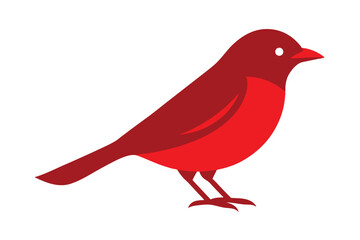 red bird on a branch