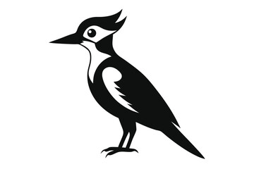 black crow on white background