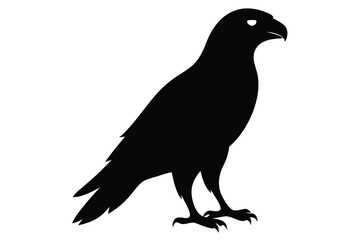 pigeon silhouette vector