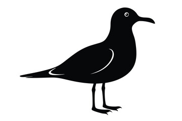 black silhouette of a bird