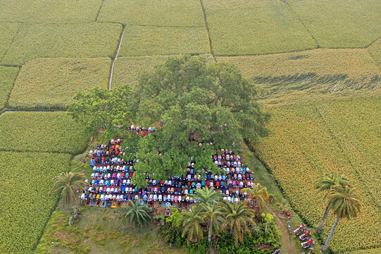 Aerial view of people gathering for Eid prayer amidst scenic fields and palm trees, Satkhira, Khulna, Bangladesh.