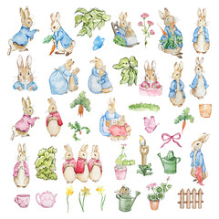 Watercolor Peter Rabbit set, illustration children's book
