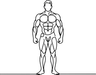 Gym Pose Line Art – Muscular Man Silhouette Collection Bodybuilder One Line Drawing – Fitness Silhouette Vector Set