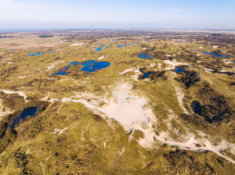 Aerial view of tranquil dune area with lakes and grassland, Westerschouwen, Zeeland, Netherlands.