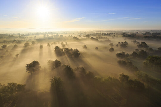 Fototapeta Aerial view of tranquil forest shrouded in fog with sunlight filtering through trees, Domfrontais Region, Normandy, France.