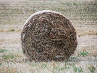 profile of a single hey ball with dry grass in a harvested field