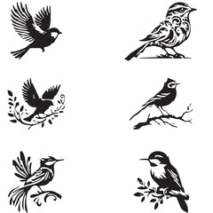 Set of birds vector design