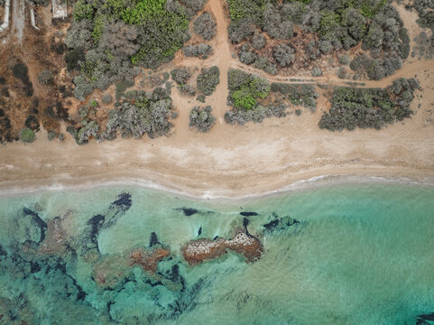 Aerial view of beautiful turquoise beach and pristine coastline with clear water and lush greenery, Agios Sergios, Famagusta, Turkish Republic of Northern Cyprus.