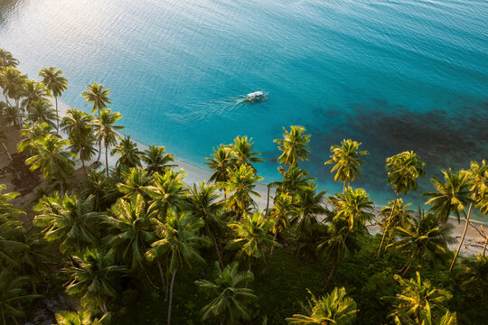 Aerial view of tropical beach with palm trees and a boat at sunset, Port Barton, San Vicente, Palawan, Philippines.