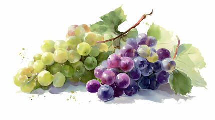 "Watercolor Clip Art of Bunches of Grapes in Varying Colors &ndash; Multicolored Grape Cluster Illustration for Botanical, Culinary, and Decorative Design Projects"

