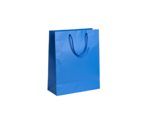 Cornflower Blue Gift Bag with Matching Braided Handles Angled View