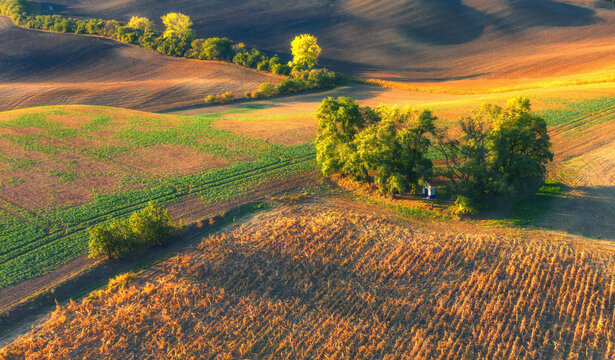 Aerial view of rolling hills and fields with trees in a serene countryside, Sob?lky, South Moravian, Czech Republic.