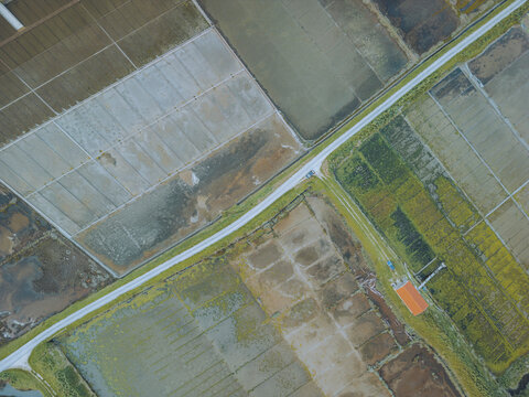 Aerial view of salt marshes and agricultural fields with intricate patterns, Figueira da Foz, Coimbra, Portugal.