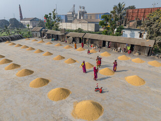 Dhaka, Bangladesh - 19 May 2025: Aerial view of a rice mill with workers and piles of rice in a rural landscape, Dhaka, Bangladesh.