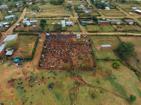 Aerial view of tribal animal market with cattle and livestock in a rural village, Kako, Southern Nations Nationalities and Peoples' Region, Ethiopia.