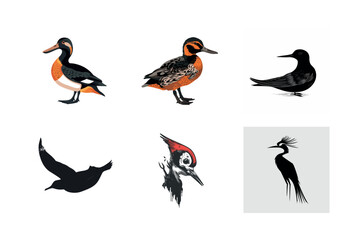 Collection of diverse bird illustrations and silhouettes