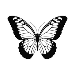 Simple Butterfly Silhouette Icon Graphic