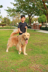 Portrait of Golden retriever and Asian boy standing on lawn in the garden. Focus at dog.