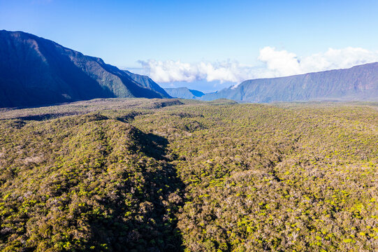 Aerial view of forest and mountains, Foret de Bebour, Reunion Island, an overseas department of France.