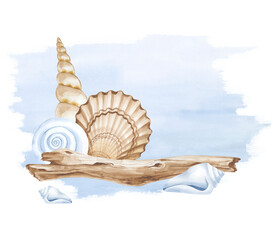Watercolor composition with seashells, driftwood on the background of a blue watercolor spot. A template for use in a marine theme.
