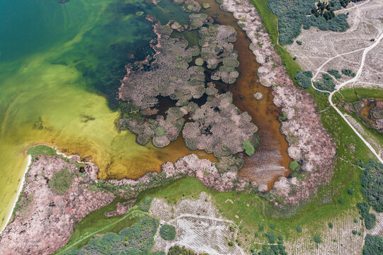 Aerial view of Lake Sevan, an high altitude lake in Norashen, Gegharkunik Province, Armenia.