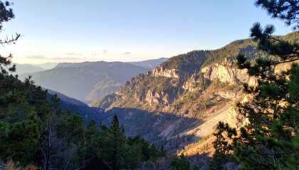Mountain valley view with jagged peaks framed by evergreen trees in sunlight