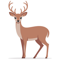 deer vector illustration