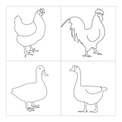 Domestic animal line art illustration for coloring children book 