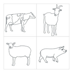  Domestic animal line art illustration for coloring children book 