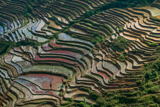 Aerial view of Honghe Hani Rice Terraces on the hills in Yunnan province, China.