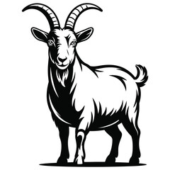 goat on a white background