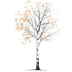 vector illustration autumn birch tree without leaves