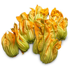 Fresh squash blossoms , zucchini blossoms isolated