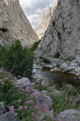The Torio River in the Vegacervera Gorges in León, on the LE-315 highway