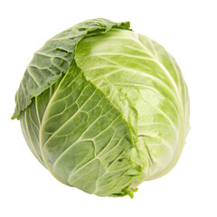 A whole single cabbage isolated on a transparent background