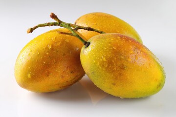 Fresh summer mangoes with yellow skin, displayed in a minimal white background, ideal for product catalogs and food banners