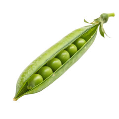 A whole single green pea pod isolated on a transparent background