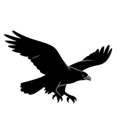 A black silhouette of an eagle in flight, illustrating power and freedom.