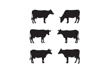silhouettes of cows