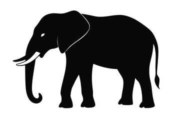 elephant vector illustration